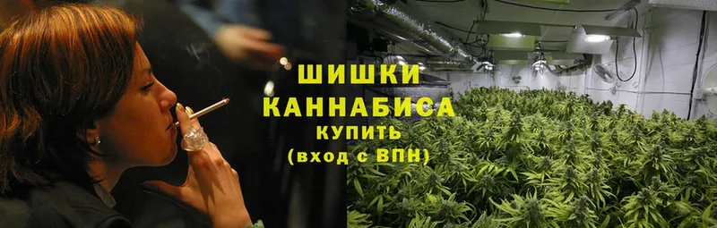 Конопля Ganja  Горняк 